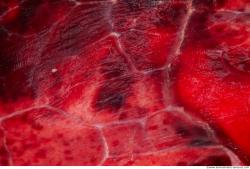 Photo Textures of RAW Pork Meat